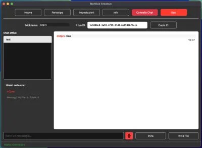 Fase 4: Chat Creata