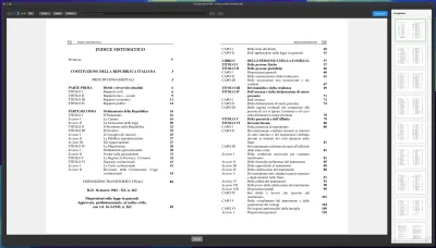 Visualizza file PDF